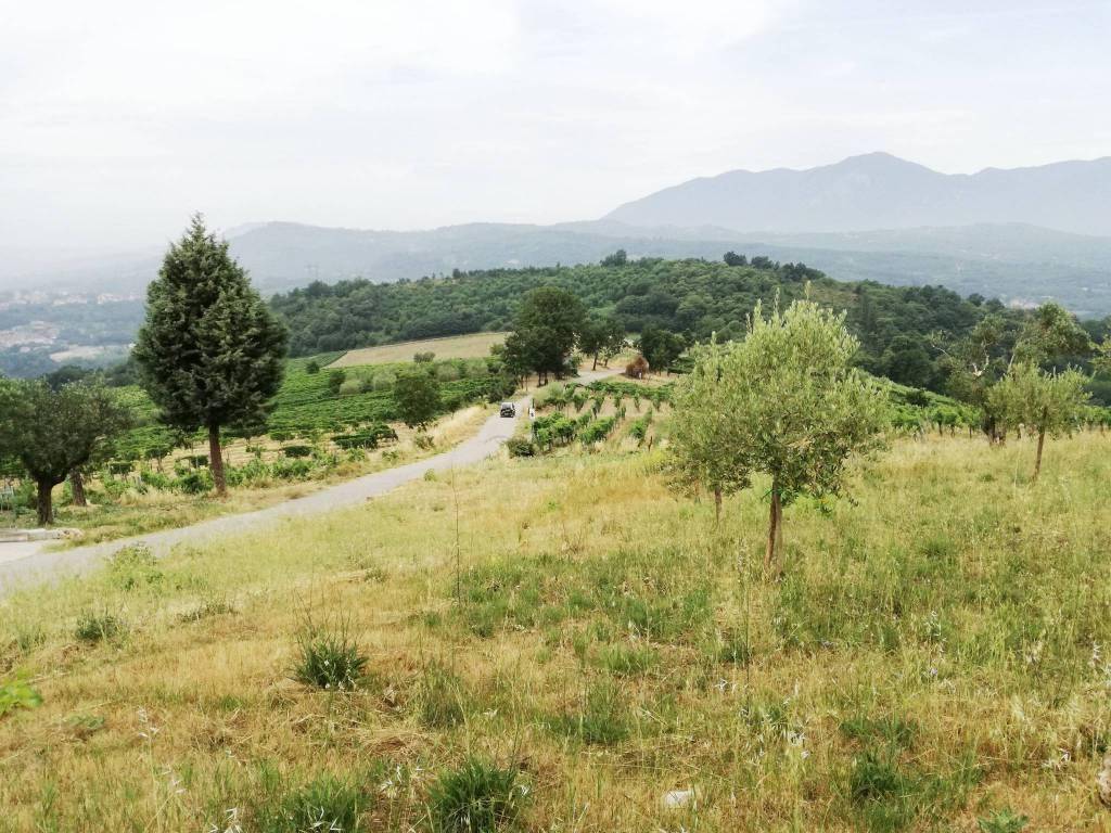 immagine annuncio 1 di 4