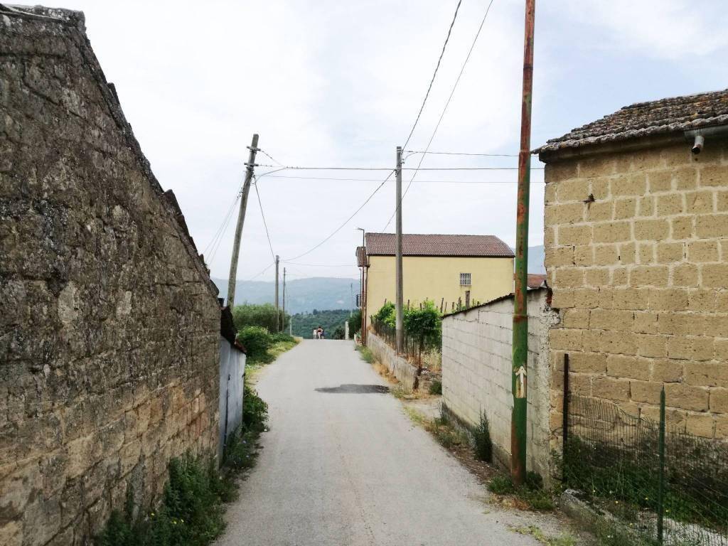 immagine annuncio 2 di 4