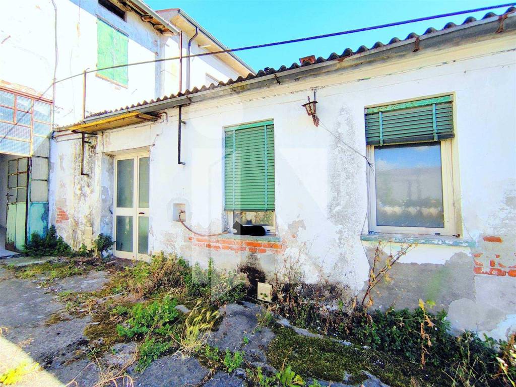 immagine annuncio 2 di 4