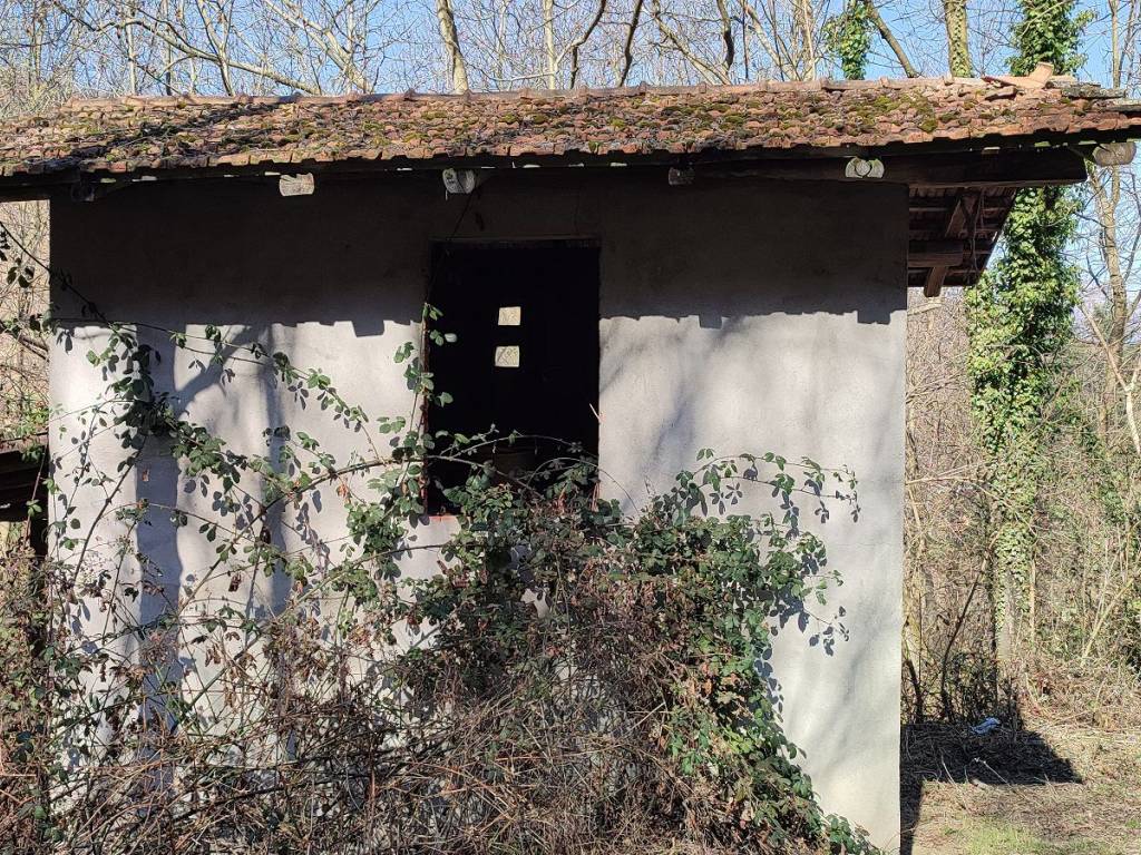 immagine annuncio 2 di 5