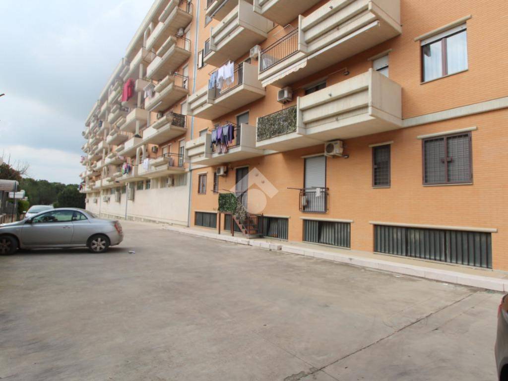 immagine annuncio 2 di 4