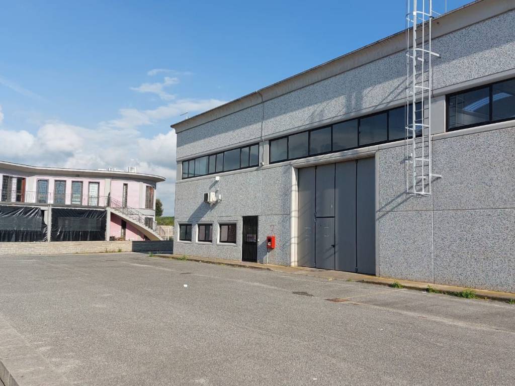 immagine annuncio 1 di 5