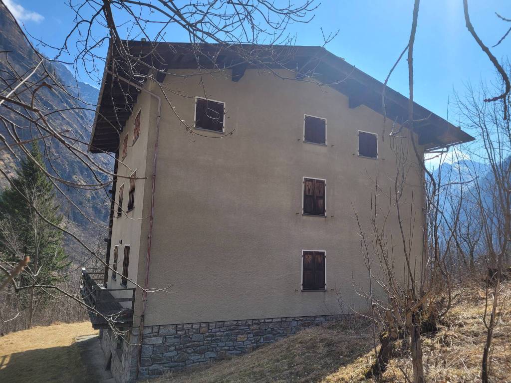 immagine annuncio 4 di 5