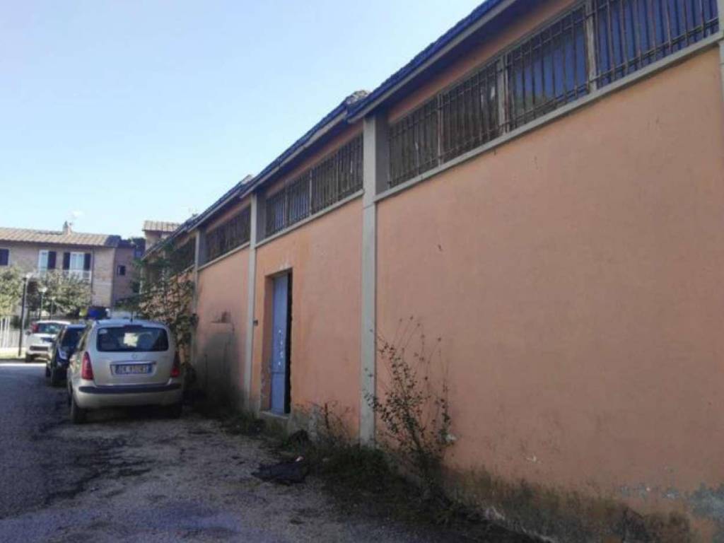 immagine annuncio 2 di 3