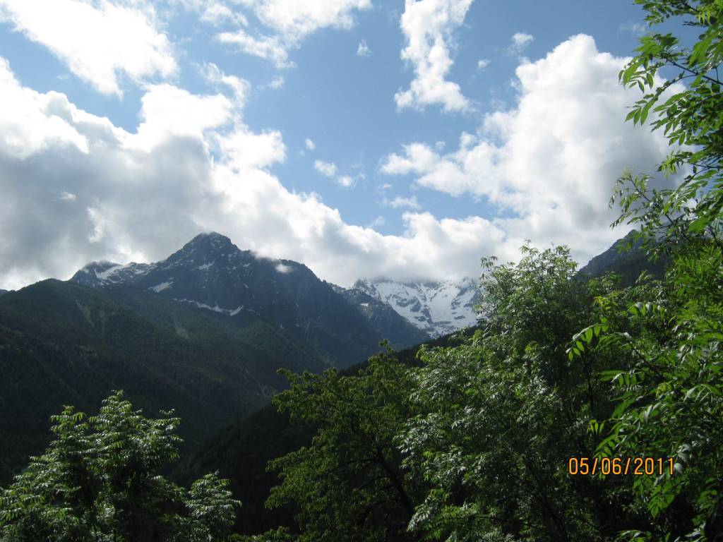 immagine annuncio 3 di 5