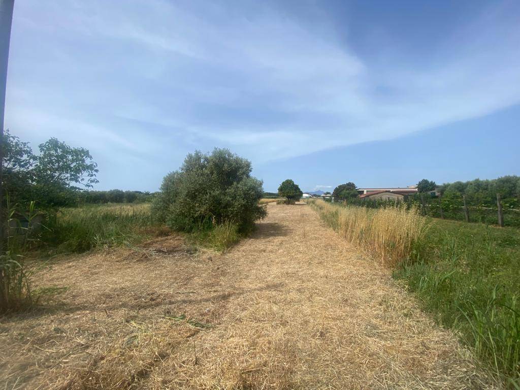 immagine annuncio 2 di 3