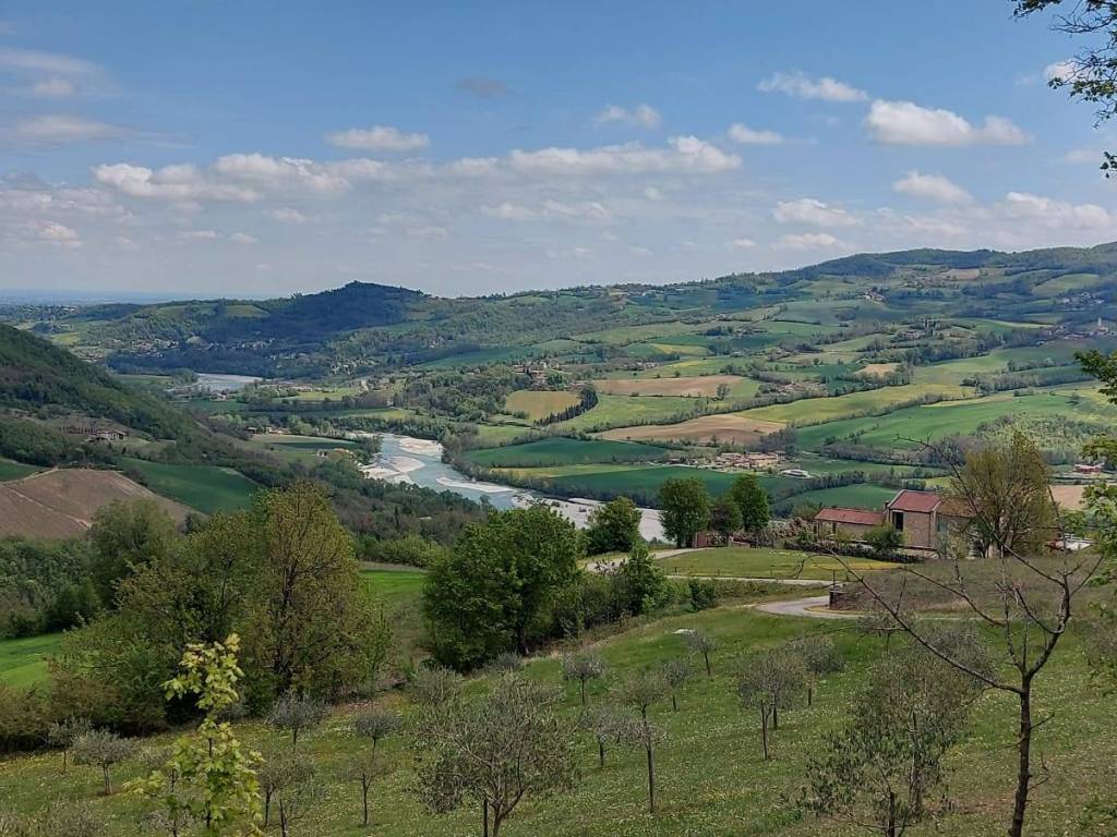 immagine annuncio 1 di 4