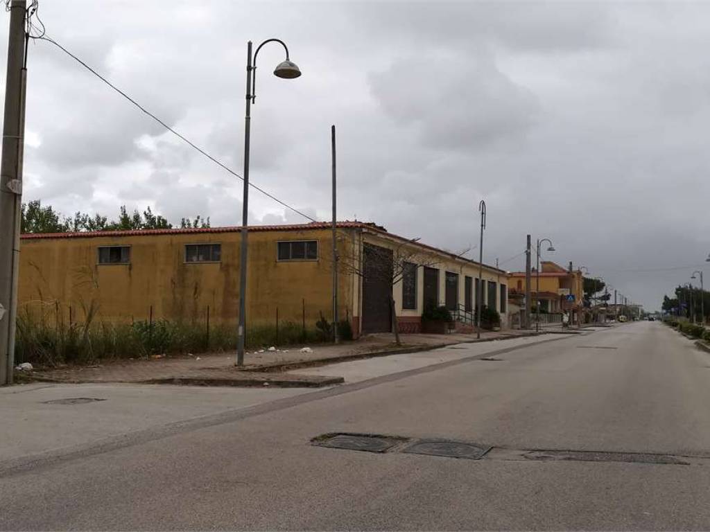 immagine annuncio 1 di 4