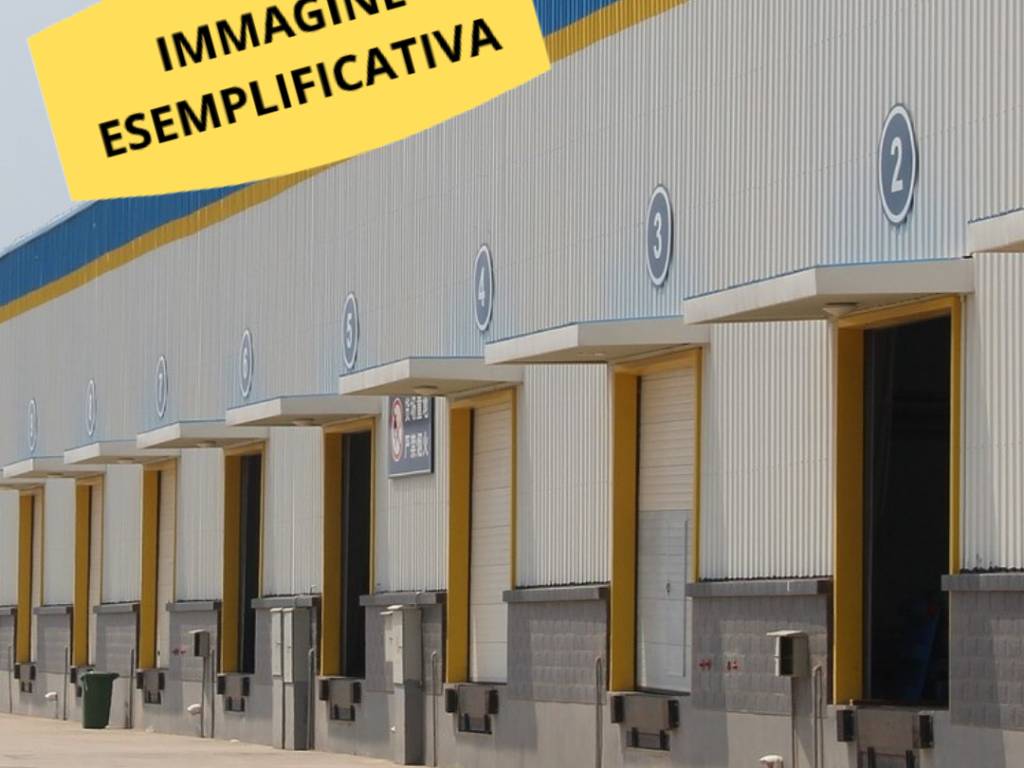 immagine annuncio 1 di 5
