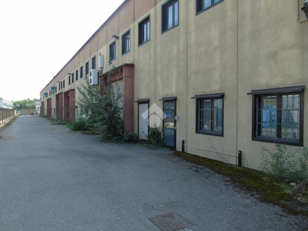 immagine annuncio 4 di 5