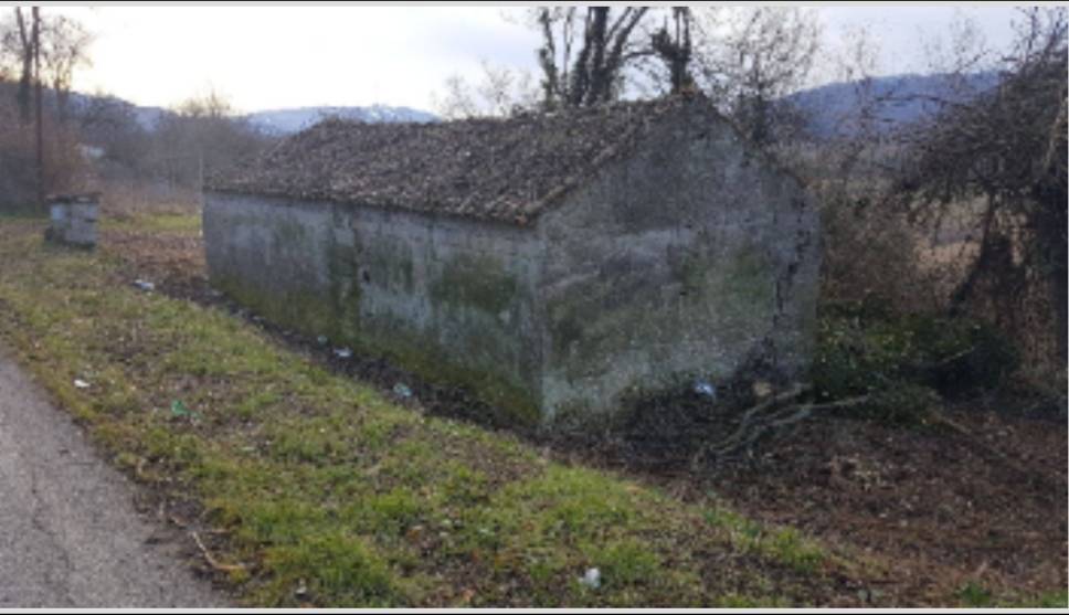 immagine annuncio 2 di 4