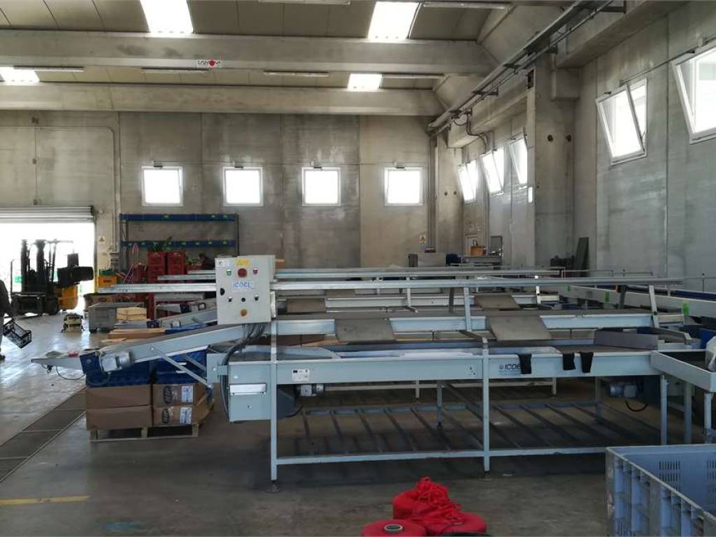 immagine annuncio 2 di 4