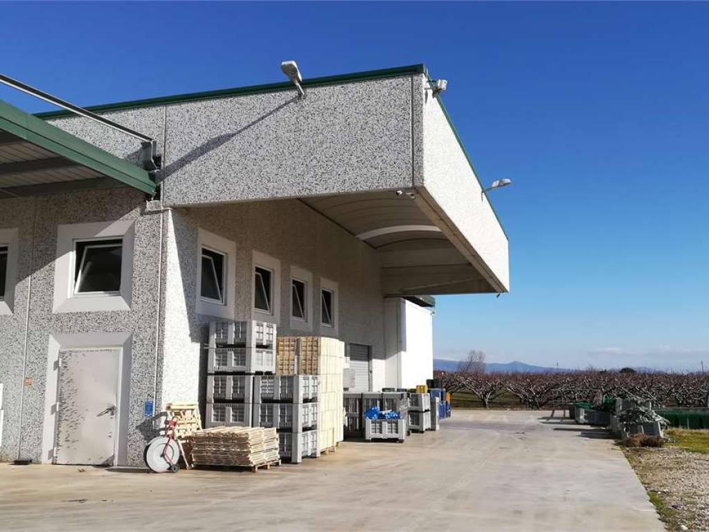 immagine annuncio 3 di 4