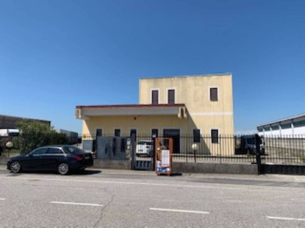 immagine annuncio 1 di 5