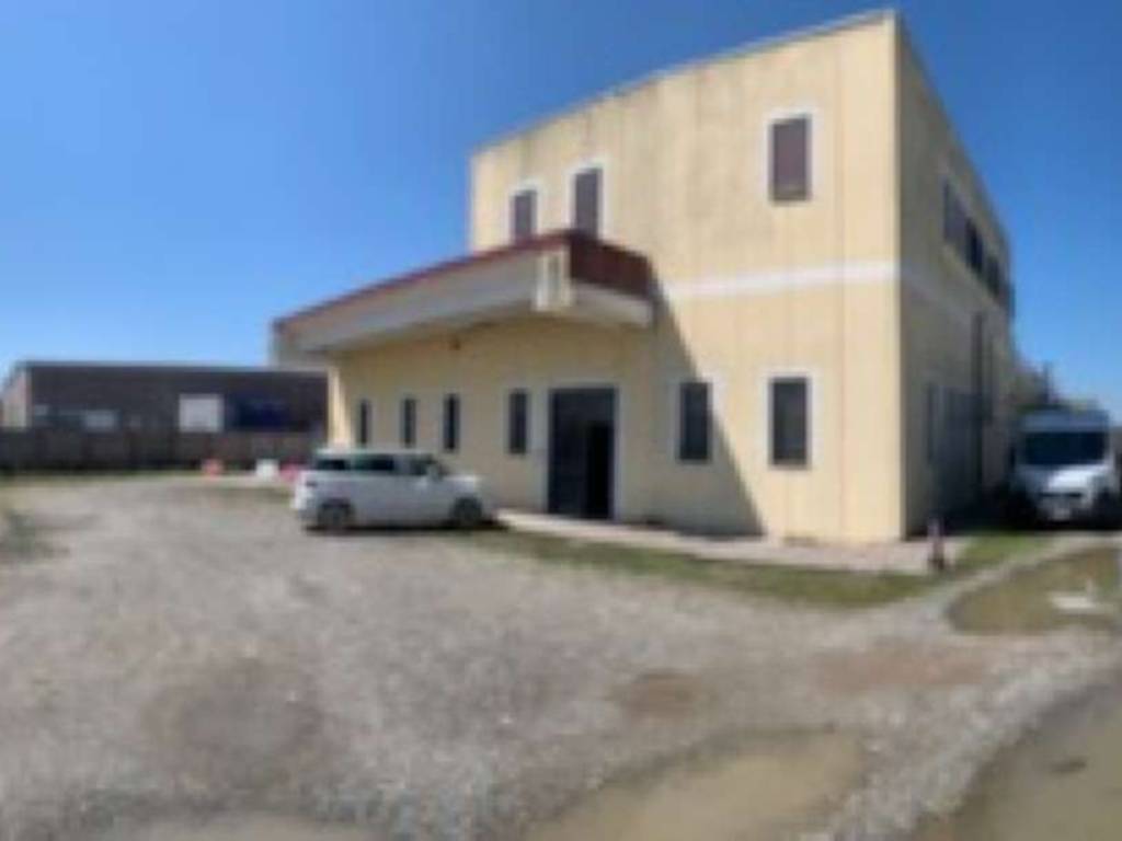 immagine annuncio 2 di 5