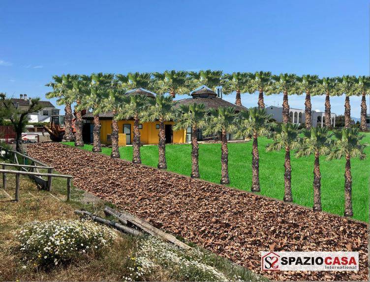 immagine annuncio 4 di 5
