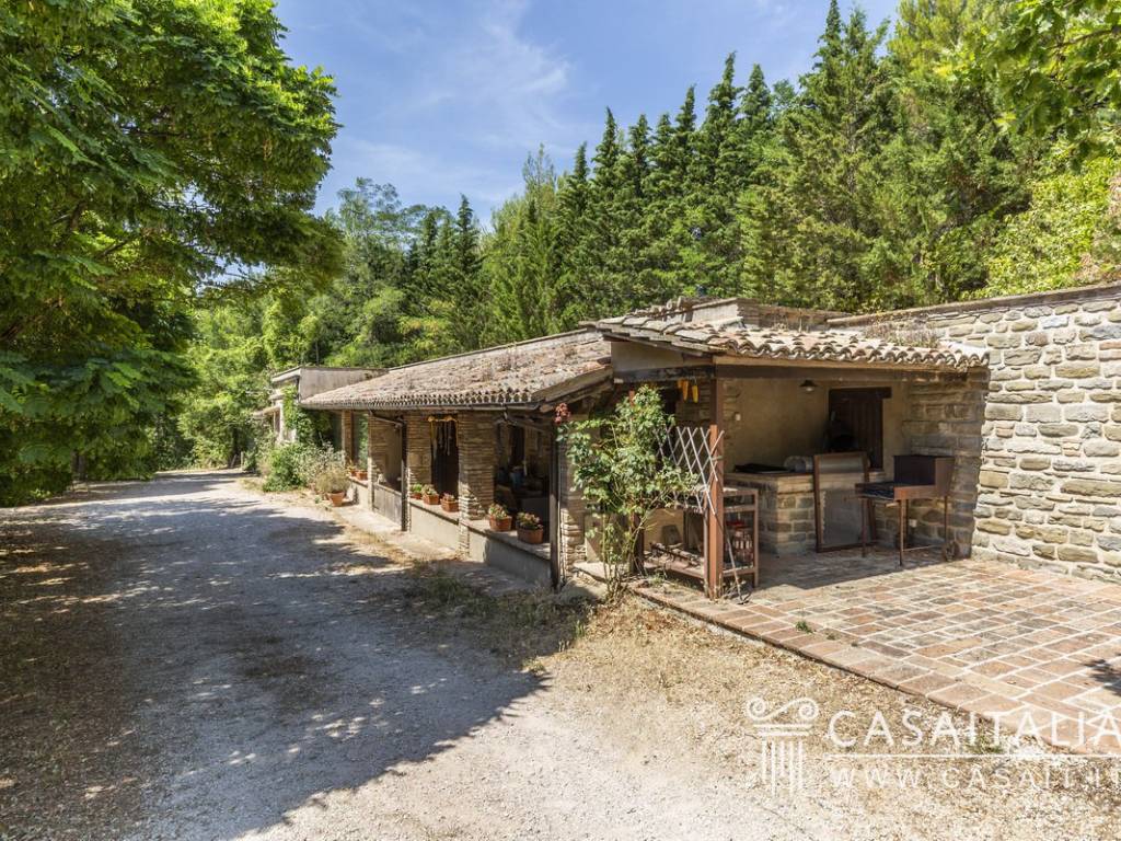 immagine annuncio 1 di 5