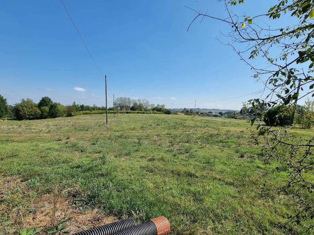 immagine annuncio 3 di 4