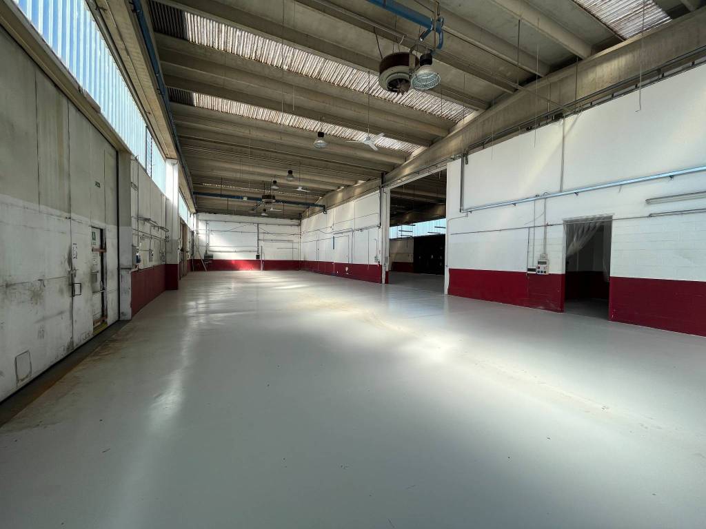 immagine annuncio 4 di 5