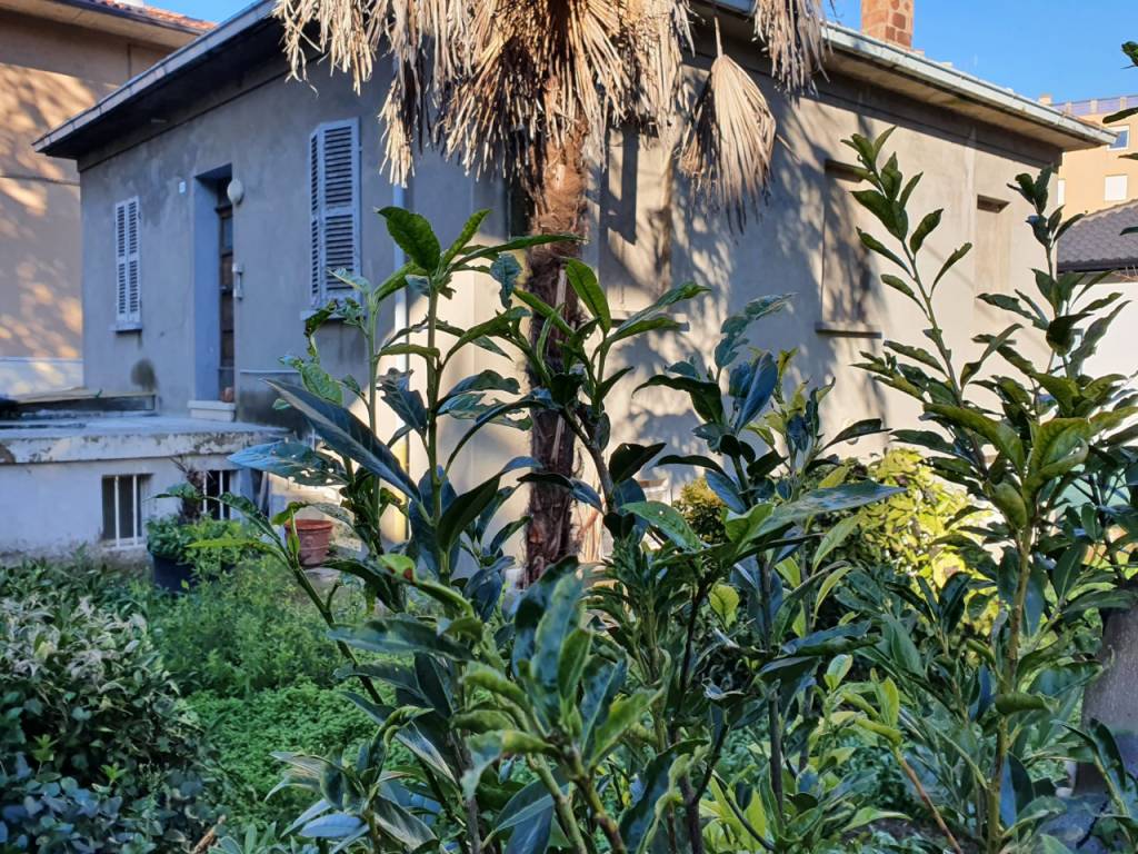 immagine annuncio 2 di 4