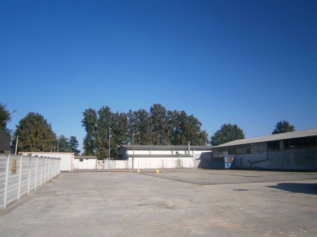 immagine annuncio 1 di 4