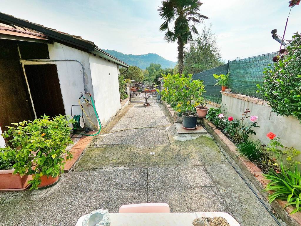 immagine annuncio 2 di 5