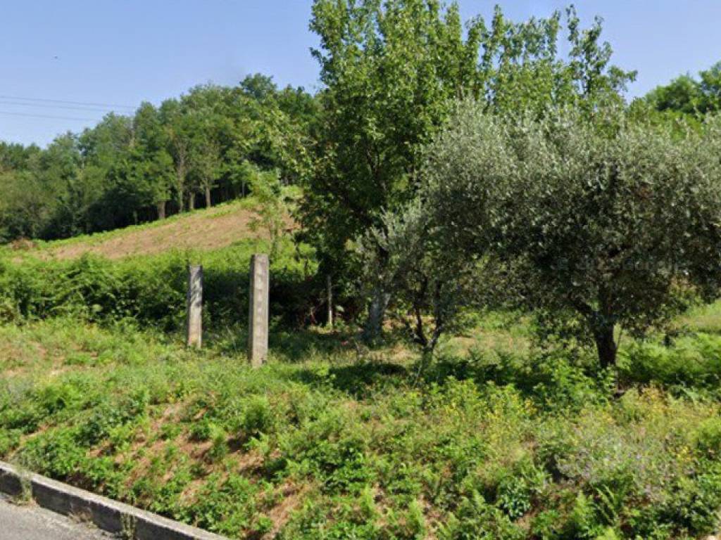 immagine annuncio 1 di 2