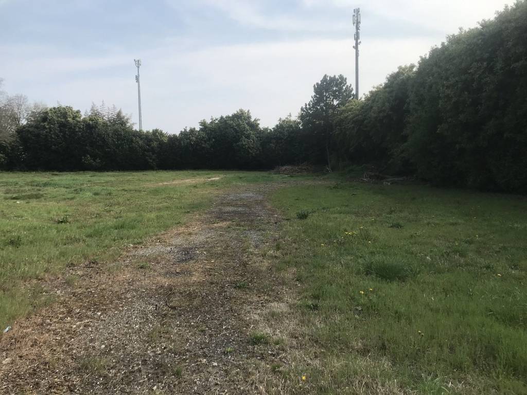 immagine annuncio 2 di 3