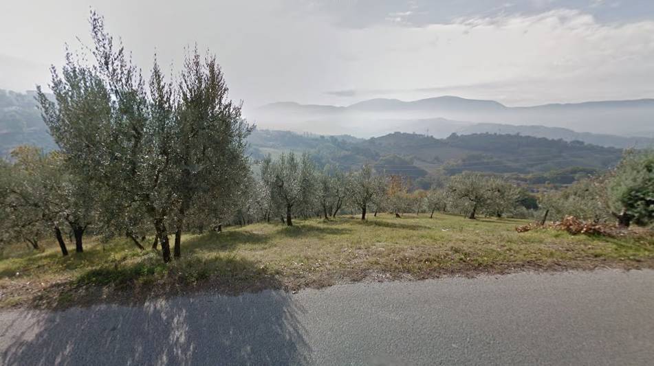 immagine annuncio 3 di 4