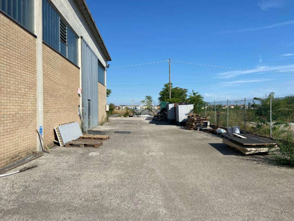 immagine annuncio 4 di 5