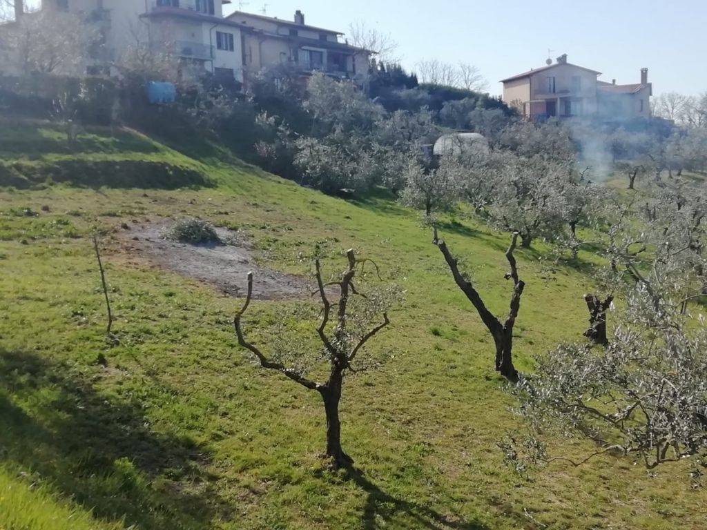 immagine annuncio 2 di 4