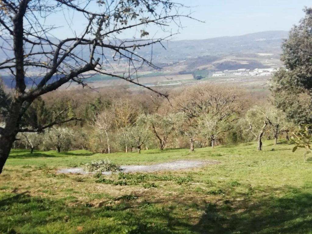 immagine annuncio 3 di 4