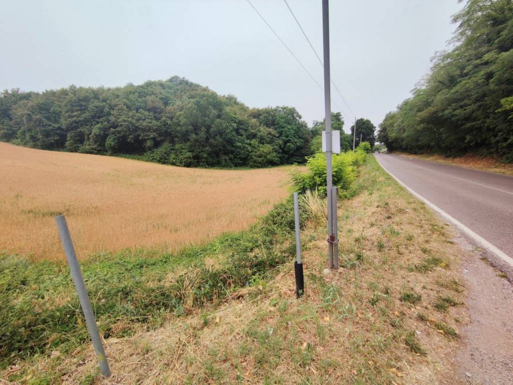 immagine annuncio 2 di 3