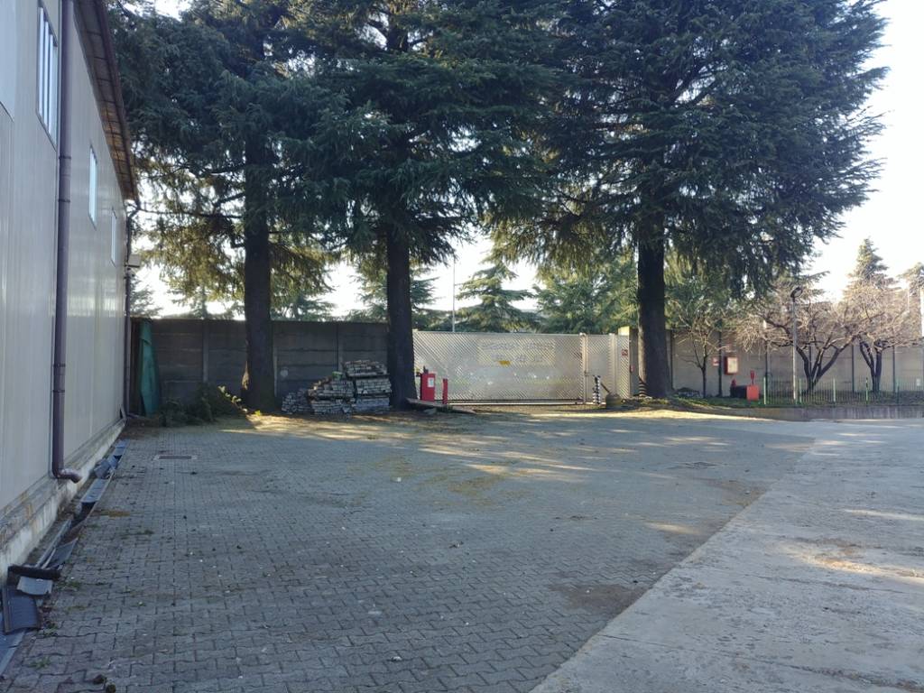 immagine annuncio 4 di 5