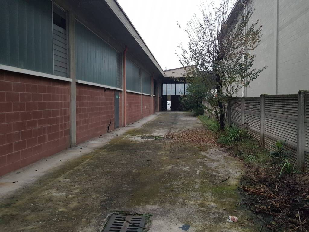 immagine annuncio 2 di 5