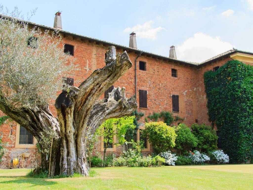 immagine annuncio 2 di 5
