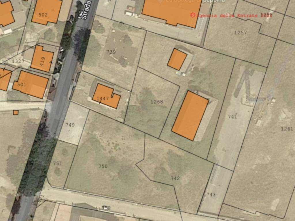 immagine annuncio 1 di 2