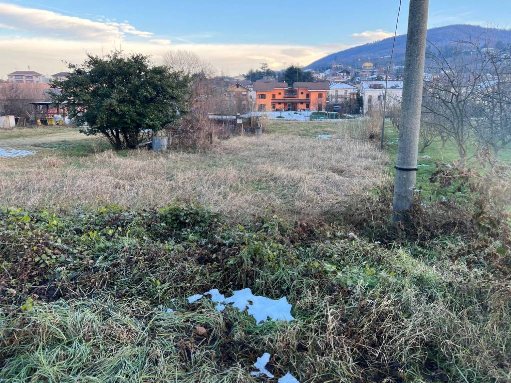 immagine annuncio 1 di 2