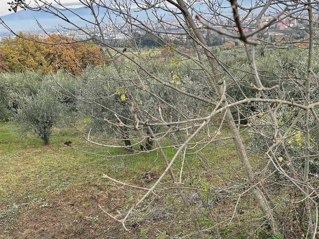 immagine annuncio 2 di 4