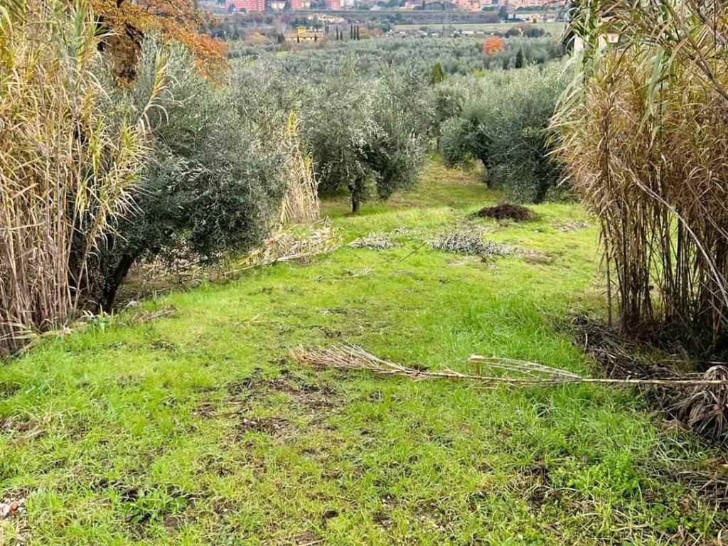 immagine annuncio 3 di 4