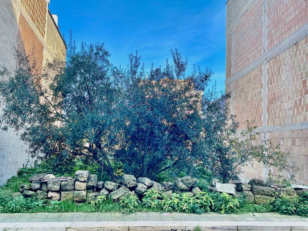 immagine annuncio 2 di 3