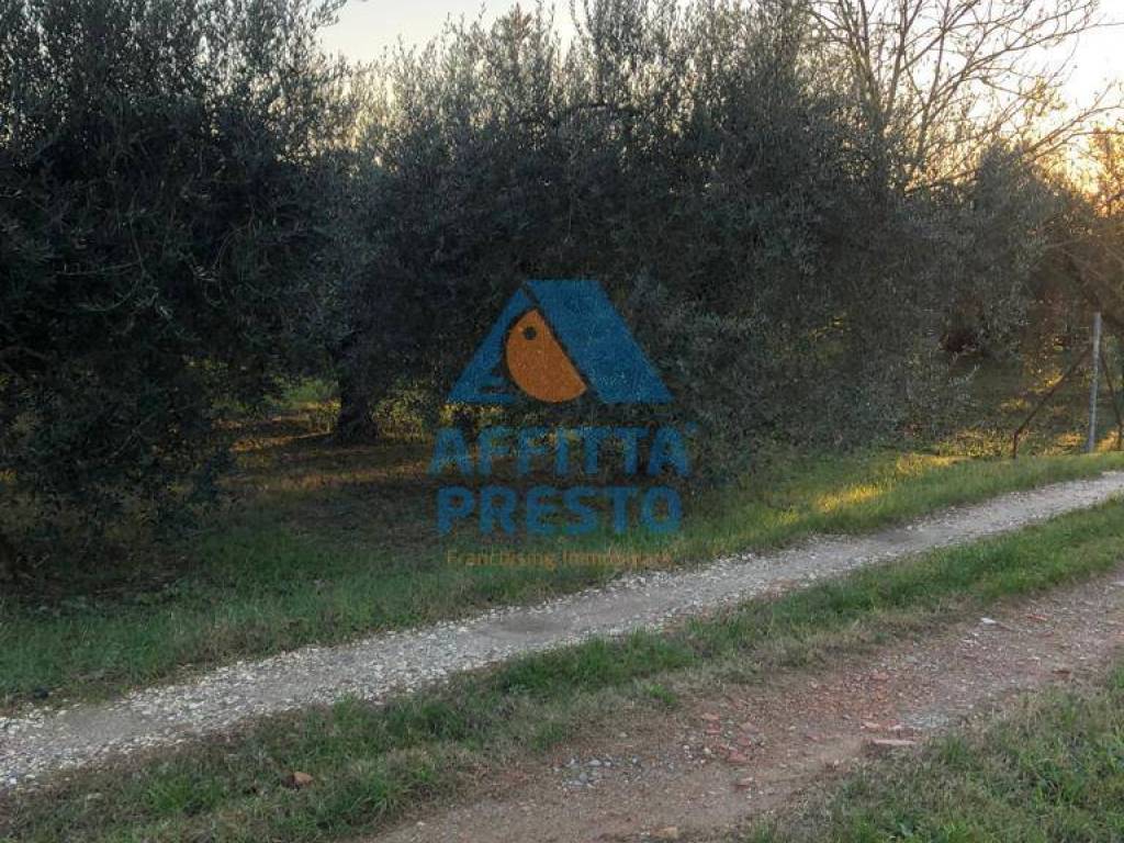 immagine annuncio 1 di 2