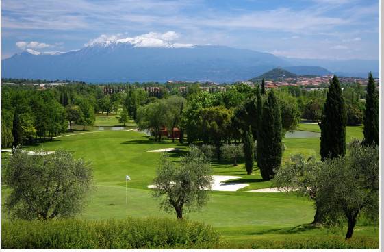 immagine annuncio 1 di 4