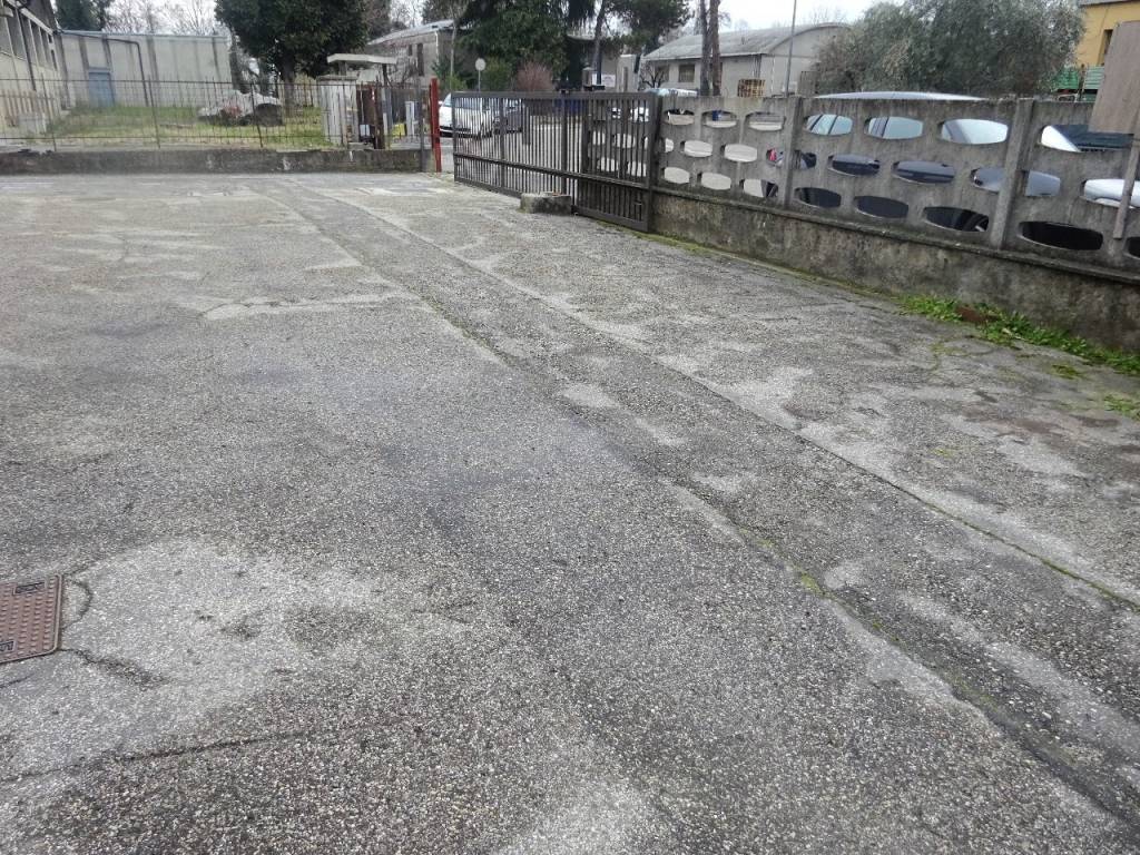 immagine annuncio 2 di 4