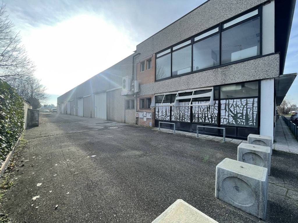 immagine annuncio 3 di 5
