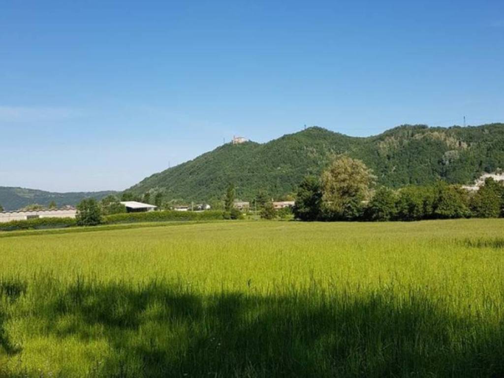 immagine annuncio 1 di 3