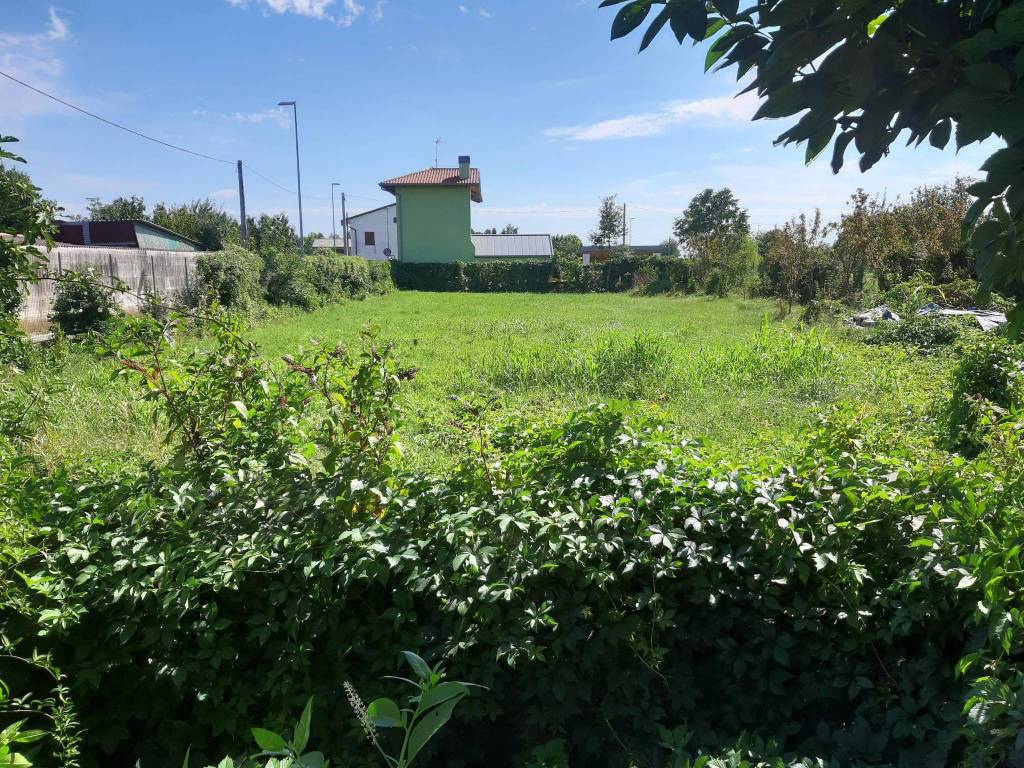 immagine annuncio 1 di 4