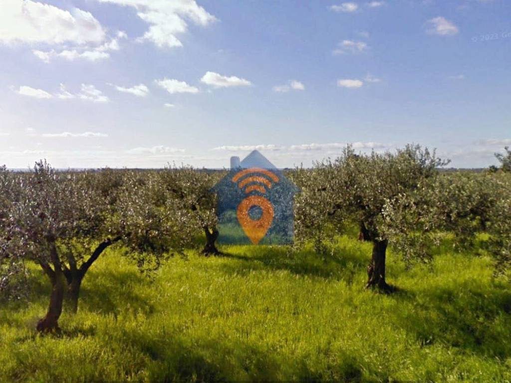 immagine annuncio 1 di 4
