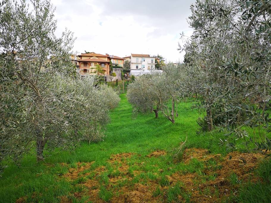 immagine annuncio 1 di 4