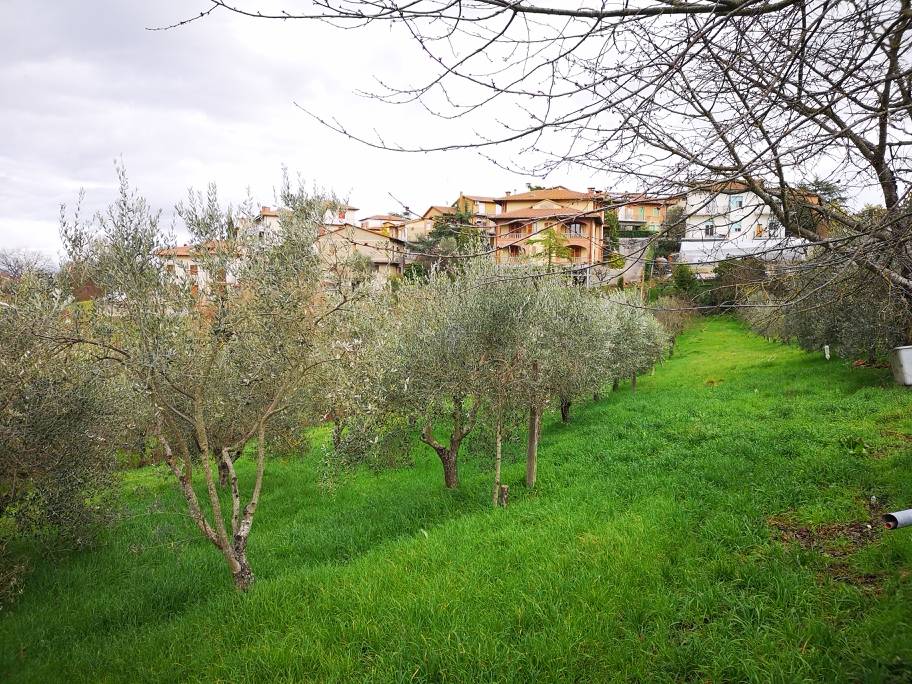 immagine annuncio 2 di 4
